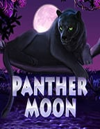 วิธีเล่น pg เครดิต ฟรี 2021SLOT เข้าใจง่าย ไม่ซับซ้อน